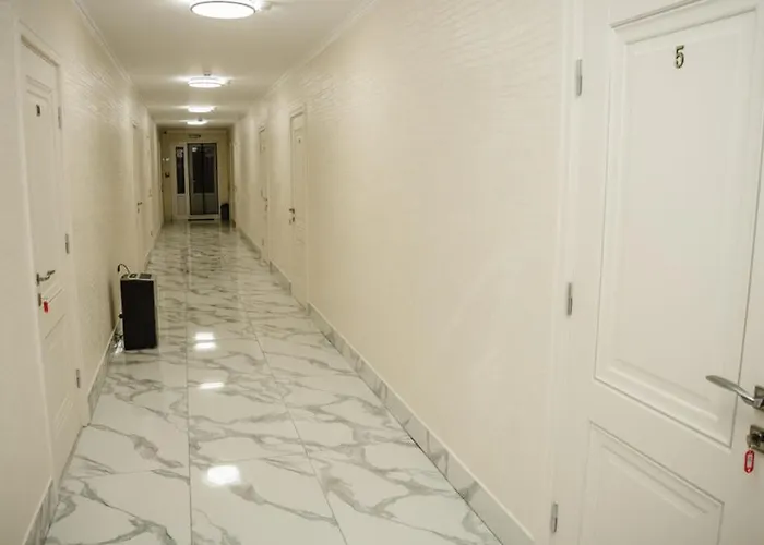 Viza & 3* Solotvina