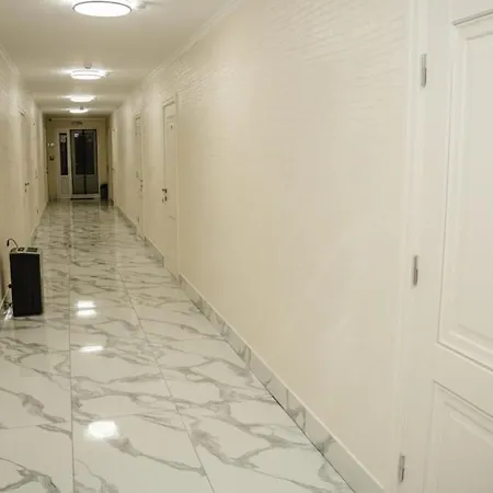 Viza & 3* ソロトヴィノ